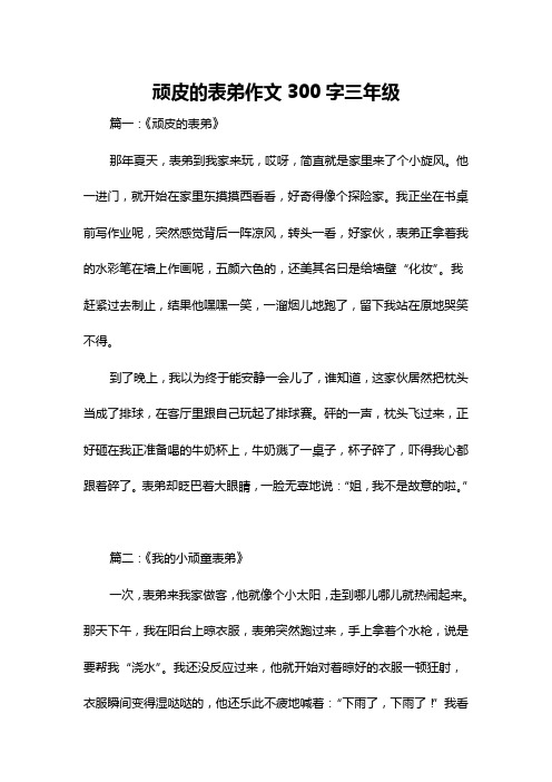 顽皮的表弟作文300字三年级