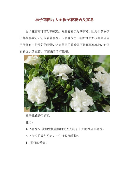 栀子花图片大全 栀子花花语及寓意