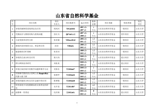 山东省自然科学基金