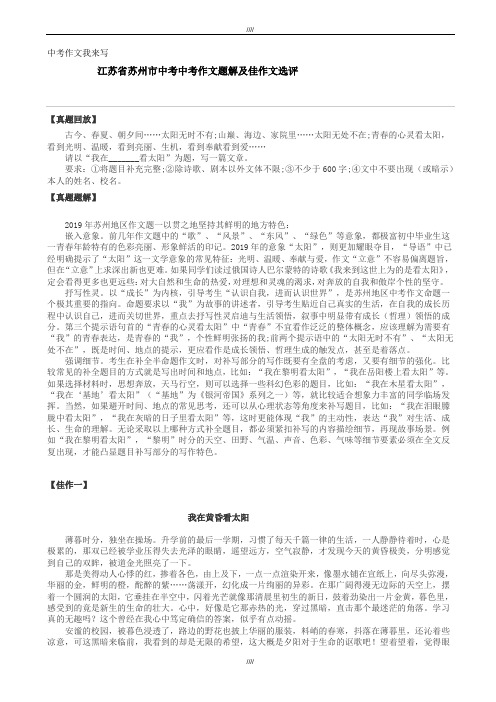 2020届江苏省苏州市中考中考作文题解及佳作文选评(加精)