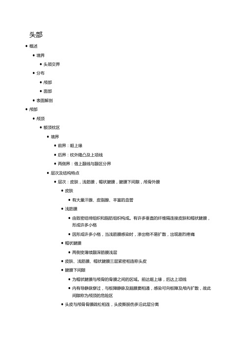 局部解剖学—头部