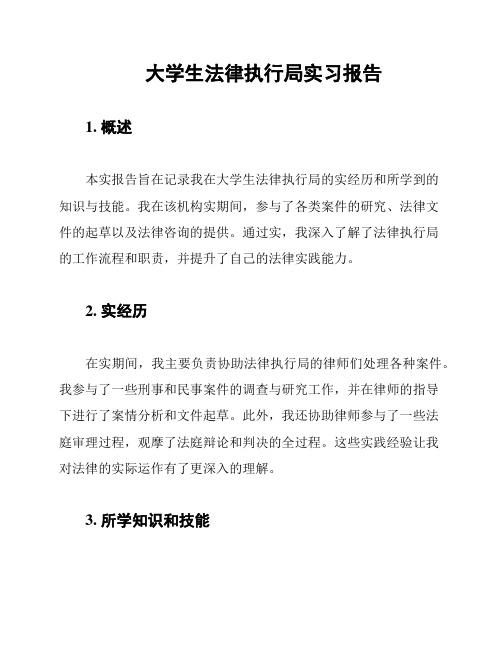 大学生法律执行局实习报告