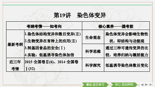 2020版生物高考新素养总复习中图版课件:第19讲 染色体变异