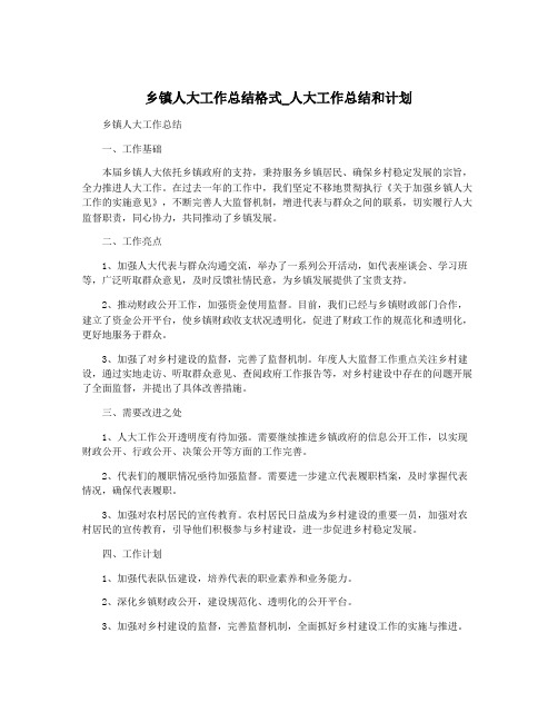 乡镇人大工作总结格式_人大工作总结和计划