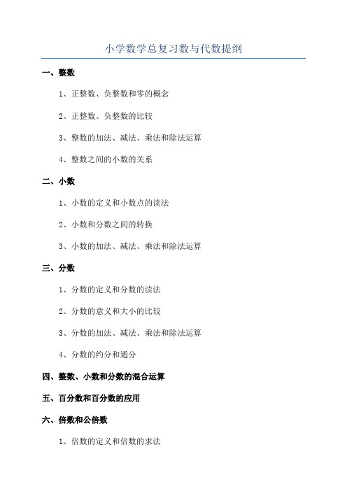 小学数学总复习数与代数提纲