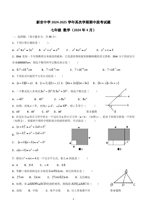 广东省深圳市宝安区新安中学2024-2025学年七年级第二学期数学期中考试卷