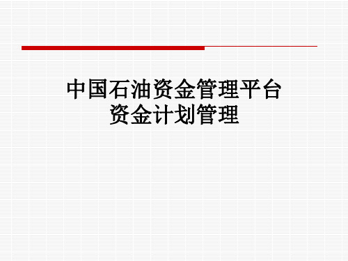 中国石油资金管理平台资金计划管理