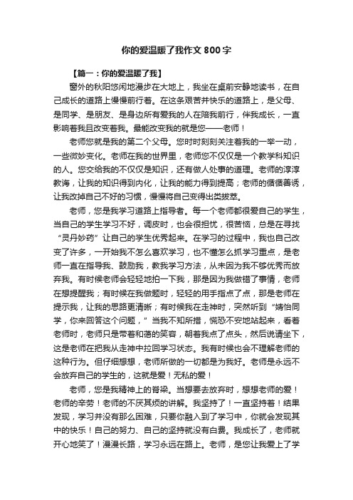 你的爱温暖了我作文800字