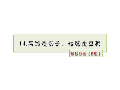 六年级上册语文课件14.高的是麦子,矮的是豆荚作业(B组)_长春版