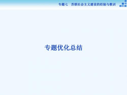 2017-2018高中历史 专题七 苏联社会主义建设的经验与教训教案 人民版必修2