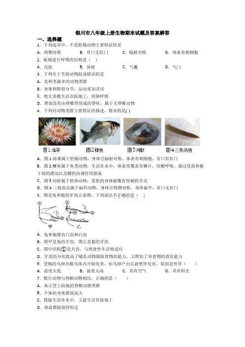 银川市八年级上册生物期末试题及答案解答