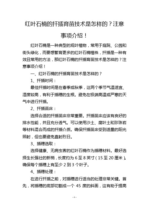 红叶石楠的扦插育苗技术是怎样的？注意事项介绍!