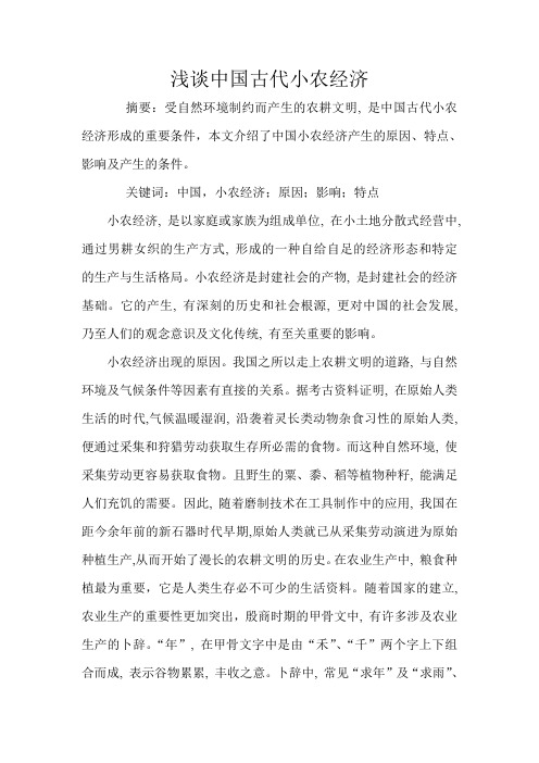 浅谈中国古代小农经济