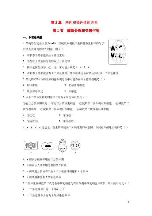高考生物 第2章 第1节 减数分裂和受精作用配套练习 新人教版必修2