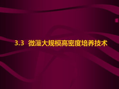 微藻大规模高密度培养技术