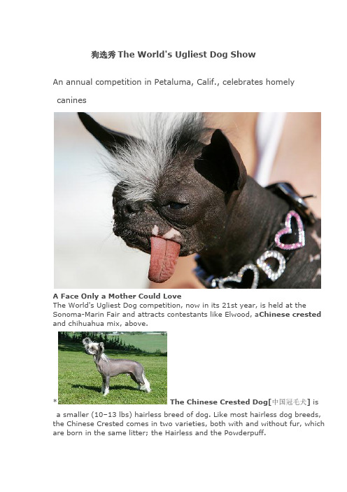 狗选秀The World's Ugliest Dog Show