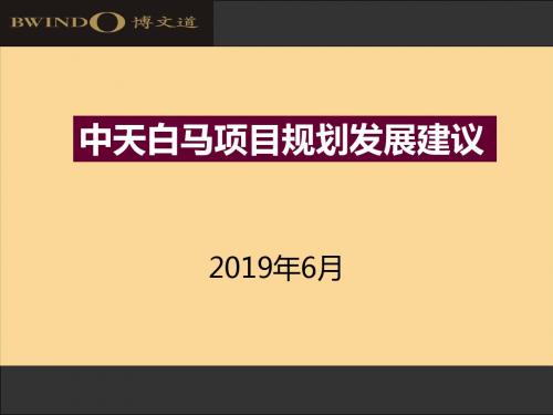 精品文案-博文道-中天地产2019年白马项目规划发展建议