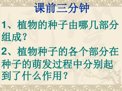 教科版四年级科学下册动物的卵课件