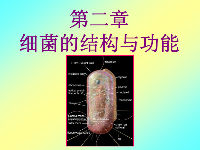 第二章1细菌的结构与功能