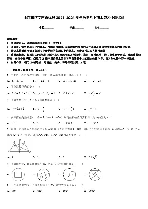 山东省济宁市嘉祥县2023-2024学年数学八上期末复习检测试题含答案