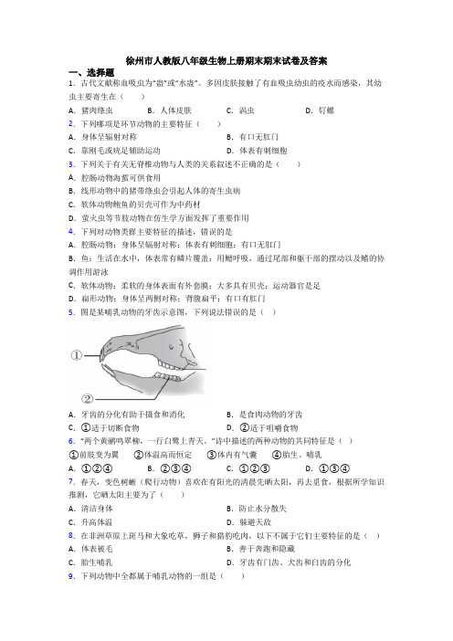 徐州市人教版八年级生物上册期末期末试卷及答案