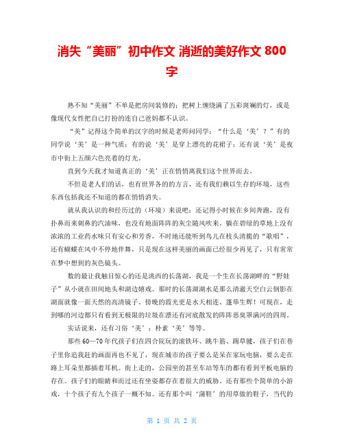 消失“美丽”初中作文 消逝的美好作文800字