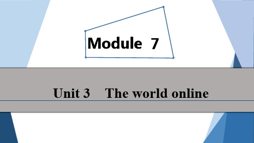 2020届高三英语(译林版)总复习课件：Module 7 Unit 3 The world online