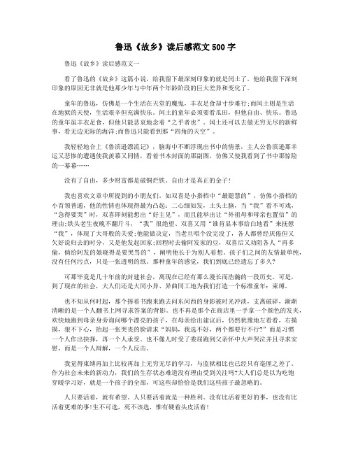 鲁迅《故乡》读后感范文500字