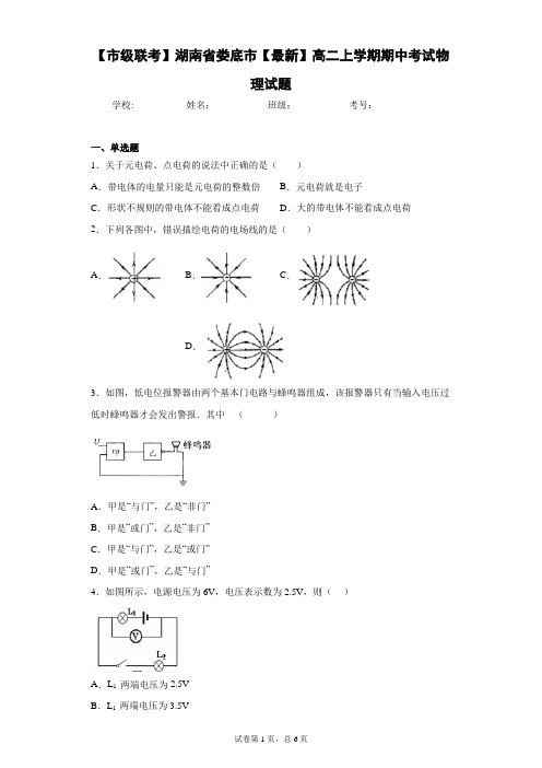 【市级联考】湖南省娄底市2020-2021学年高二上学期期中考试物理试题含答案解析