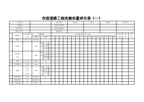 【VIP专享】市政道路工程实测实量评分表(一)