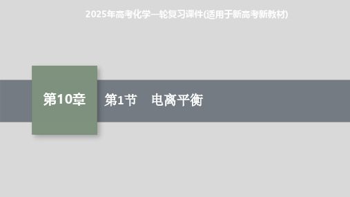 2025年高考化学一轮复习课件(适用于新高考新教材) 第1节 电离平衡