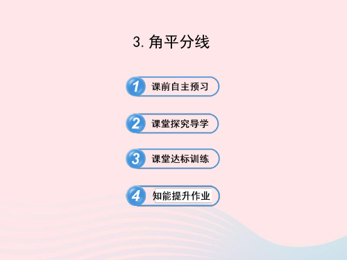 2020春八年级数学下册第19章全等三角形逆命题与逆定理3角平分线习题课件华东师大版