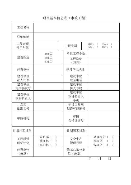 项目基本信息表(市政工程)