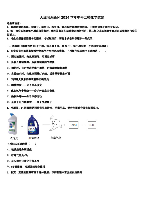 天津滨海新区2024届中考二模化学试题含解析