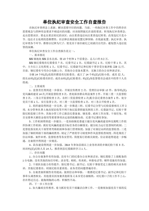 单位执纪审查安全工作自查报告