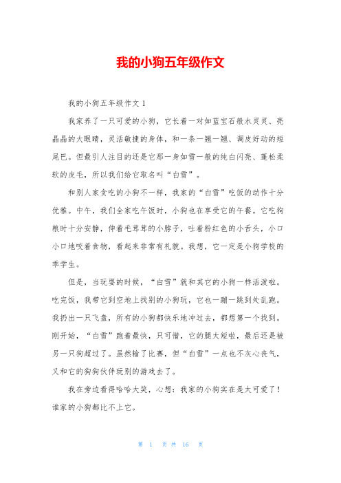 我的小狗五年级作文