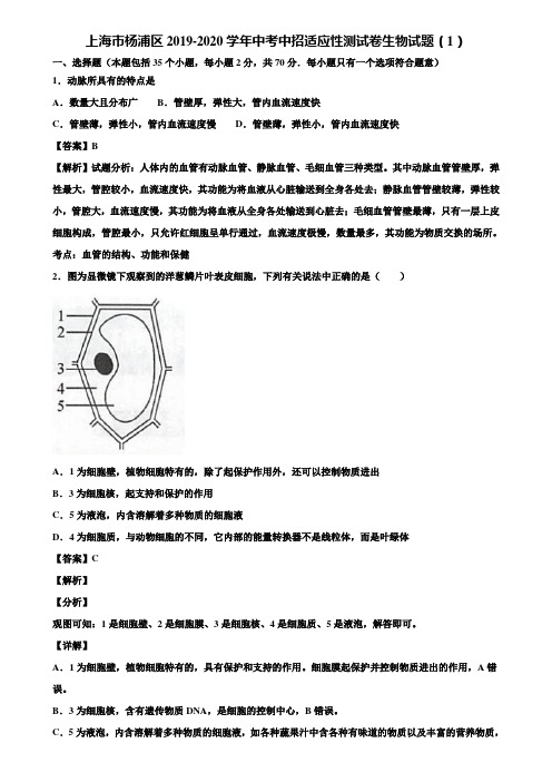 上海市杨浦区2019-2020学年中考中招适应性测试卷生物试题(1)含解析