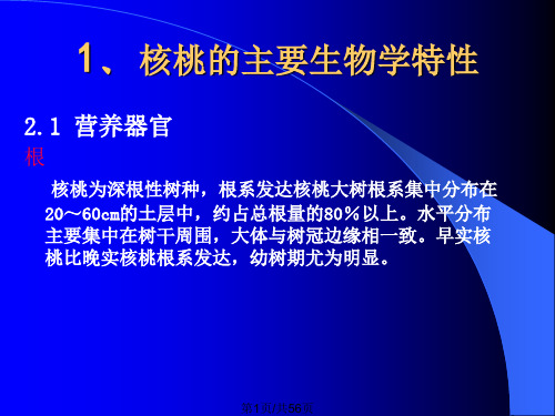 核桃主要栽培技术林果办培训班PPT课件