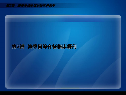 海绵窦综合征临床解剖ppt课件