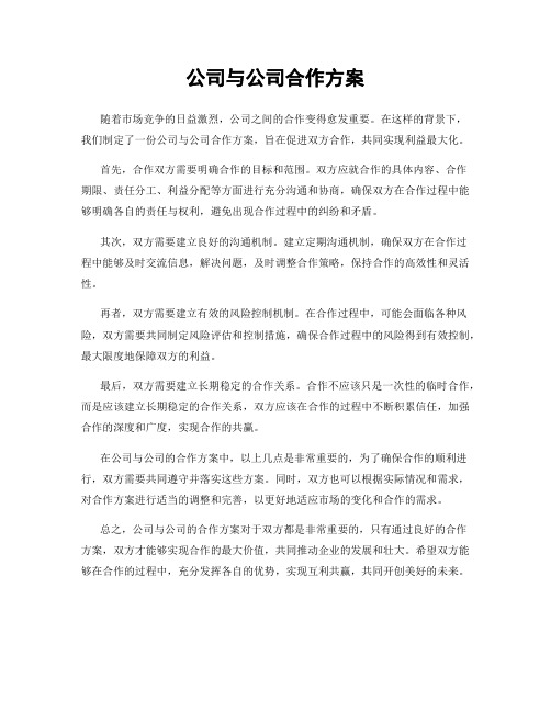 公司与公司合作方案