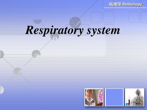 呼吸系统中英文