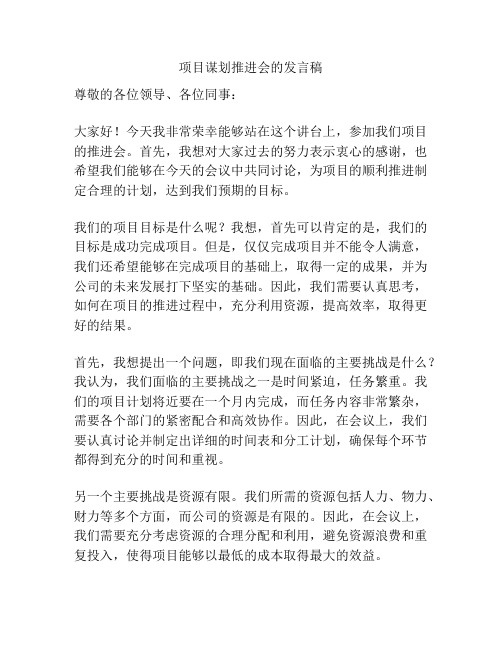 项目谋划推进会的发言稿