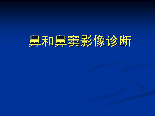 医学影像诊断学：鼻和鼻窦影像诊断