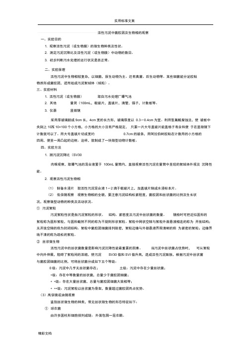 活性污泥中菌胶团及生物相地观察