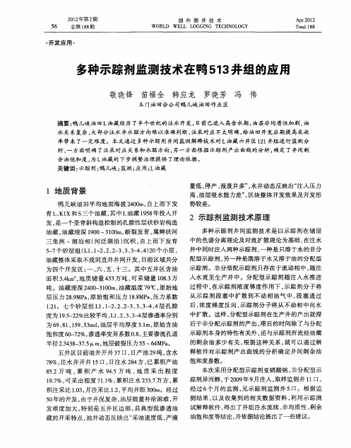 多种示踪剂监测技术在鸭513井组的应用