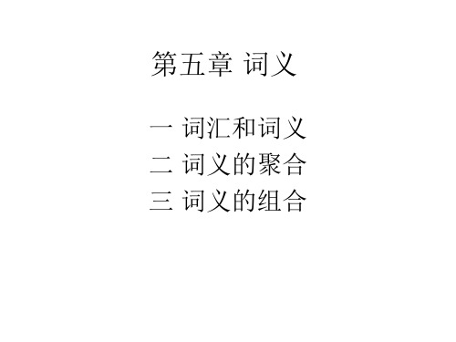 第五章 词义