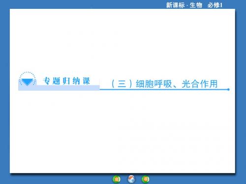 高中生物(人教版)必修1课件：专题归纳课3细胞呼吸、光合作用(共50张PPT)