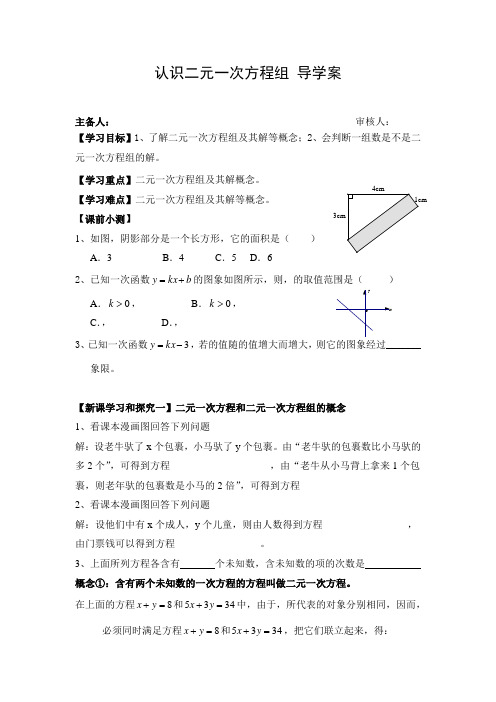 初中数学 导学案1：认识二元一次方程组