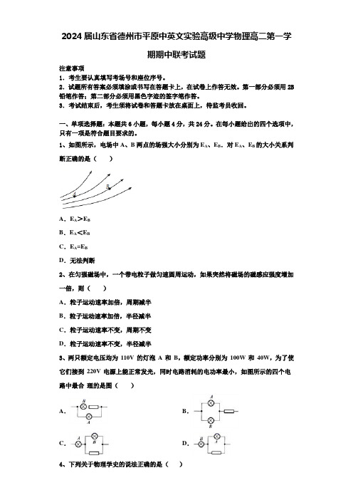 2024届山东省德州市平原中英文实验高级中学物理高二第一学期期中联考试题含解析