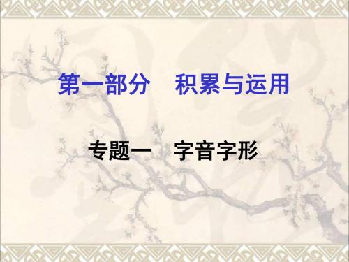 怀永郴2017湖南省中考语文第一部分积累与运用专题一字音字形课件